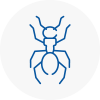 Ant Removals In Dartmouth
