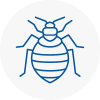 Bed Bug Extermination In Dartmouth