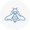 Bee Nest Removal Dartmouth