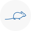 Mice Exterminators In Dartmouth
