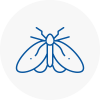 Moth Control Specialists In Dartmouth