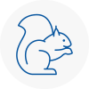 Dartmouth Rodent Removals